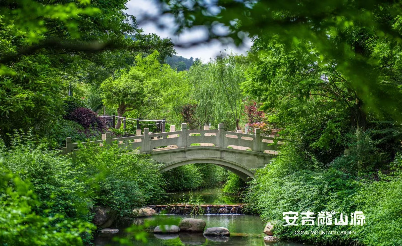 安吉龙山源园林石桥与绿植景观